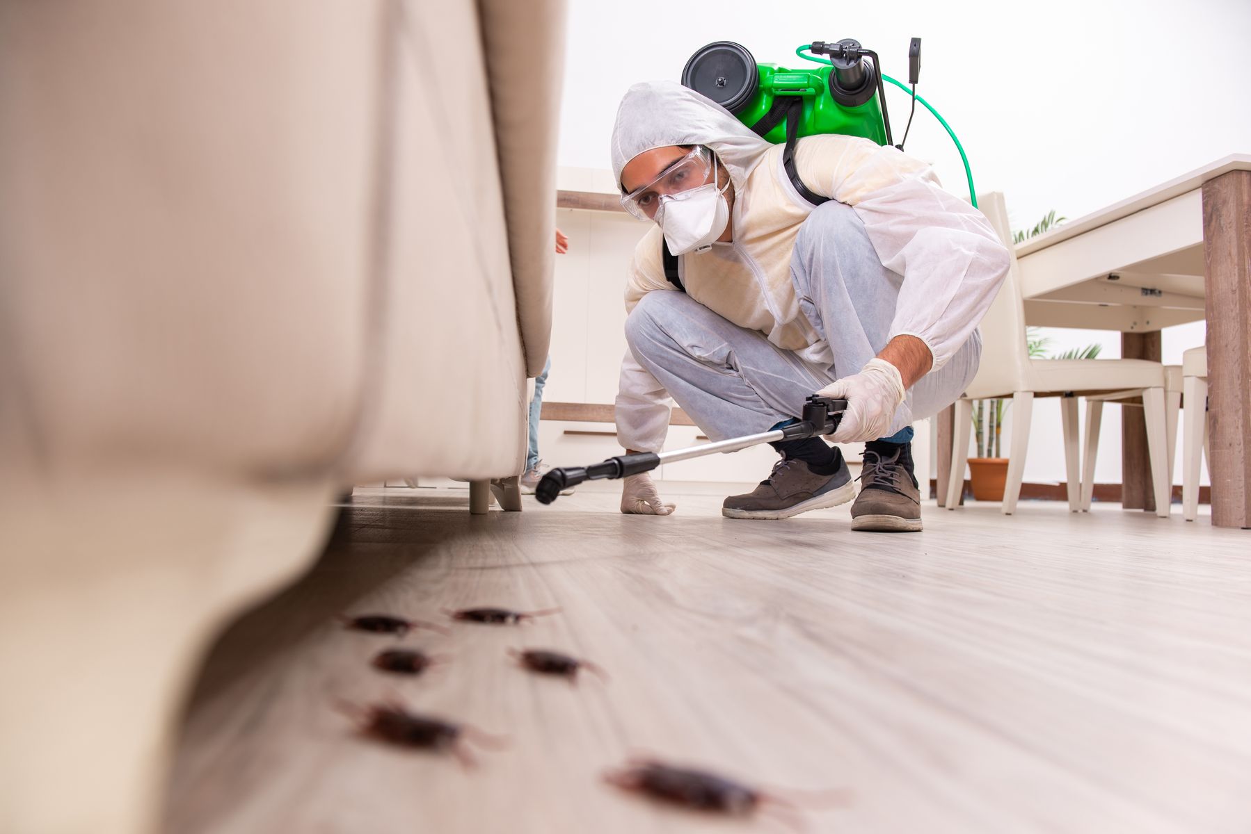 how much does it cost for pest in 2025