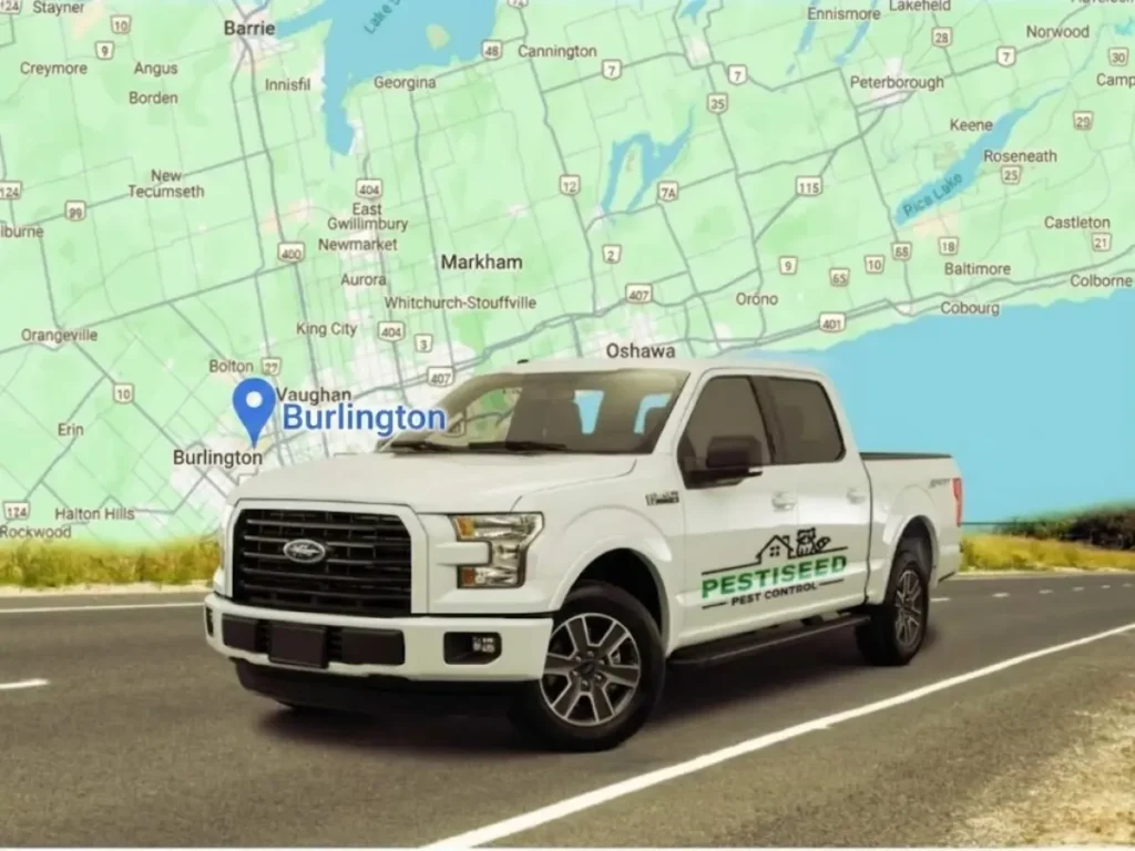 Burlington Neighbourhoods and Service Areas We Cover