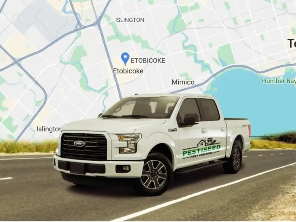 Etobicoke Neighbourhoods and Service Areas We Cover