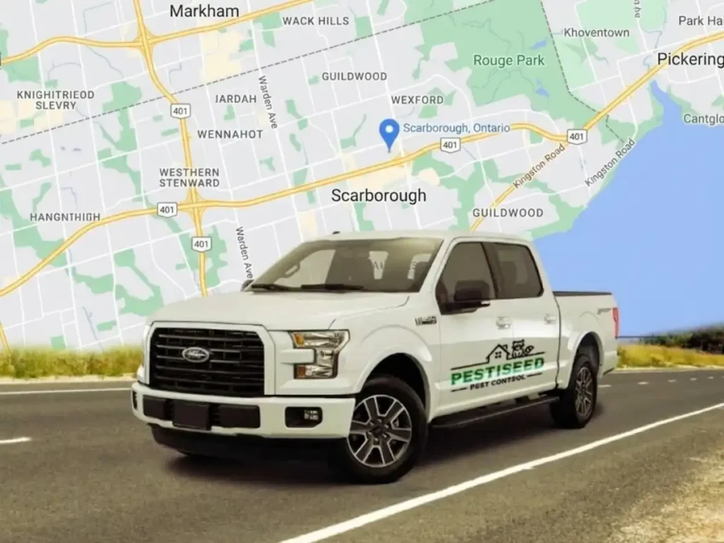 Scarborough Areas and Neighbourhoods