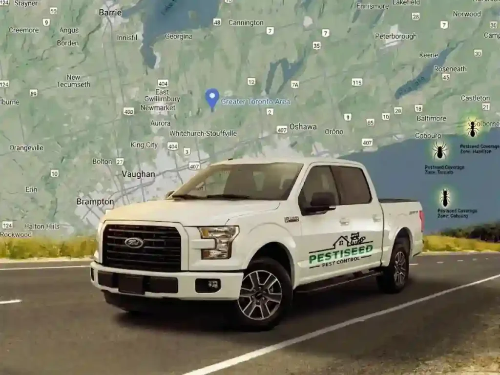 Service Areas Across Toronto and the Greater Toronto Area