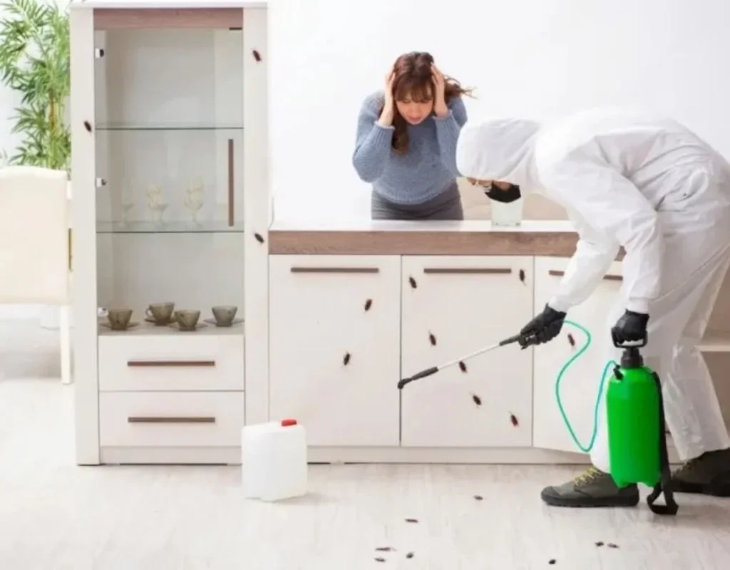Exterminator spraying kitchen cabinets