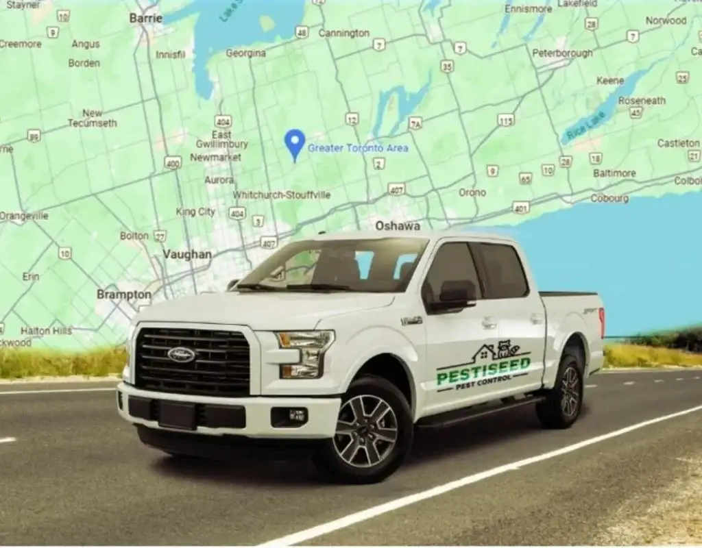Service Area Coverage Across Vaughan